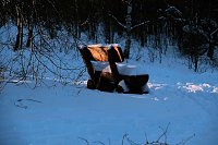 Bild: Wunderbare Winterlandschaft bei Benneckenstein