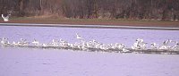 Bild: Wasser auf den Feldern der Goldenen Aue