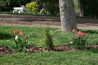 Bild: Fr&uuml;hling am Stausee 