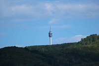 Bild: Flora und Fauna am Stausee Kelbra