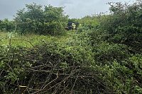 Bild: Unfall bei Nordhausen