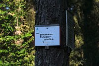 Bild: Peter Blei beim Waldspaziergang