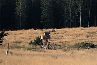 Bild: Peter Blei beim Waldspaziergang