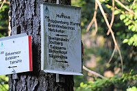 Bild: Peter Blei beim Waldspaziergang