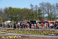 Impressionen von derEröffnung der Landesgartenschau in Leinefelde. Bild: Impressionen von derEröffnung der Landesgartenschau in Leinefelde.