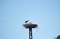 Bild: Impressionen vom Stausee Kelbra