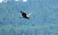 Bild: Impressionen vom Stausee Kelbra