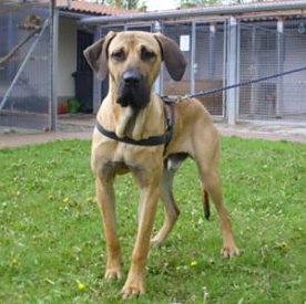 Bild: Lennox