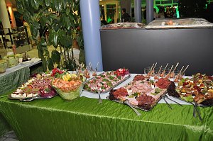 Fr&uuml;hlingsball 2012