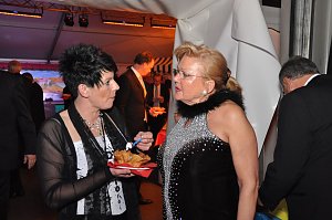 Fr&uuml;hlingsball 2012