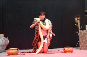 "Magie & Mythos" in der Südharzgalerie
