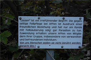 Affenwald Erlebnispark Strau&szlig;berg
