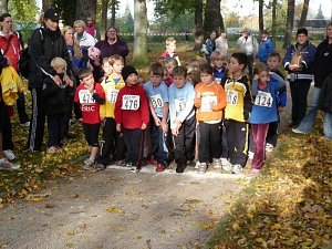 15. Stadtparklauf Sondershausen
