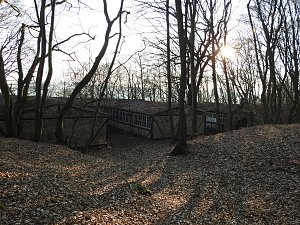Ritterberg bei Rottleberode