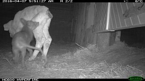 Bilder einer &Uuml;berwachungskamera