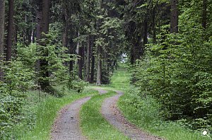 Wandergr&uuml;&szlig;e aus Rothes&uuml;tte