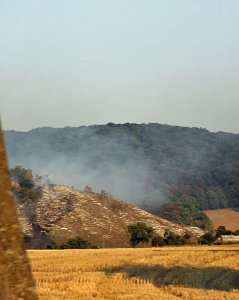 Schwerer Waldbrand am Kyffh&auml;user