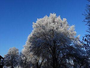 Ein Traum in Weiß