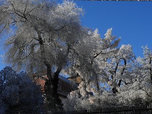 Ein Traum in Weiß