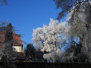 Ein Traum in Weiß