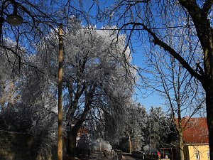 Ein Traum in Weiß