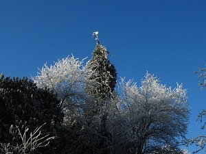 Ein Traum in Weiß