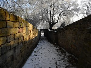 Ein Traum in Weiß