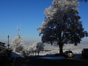 Ein Traum in Weiß