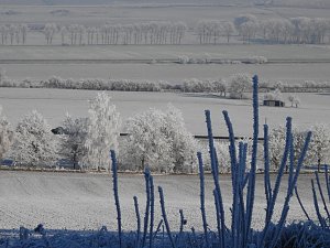 Ein Traum in Weiß