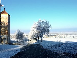 Ein Traum in Weiß