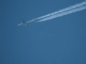 Ein Traum in Weiß