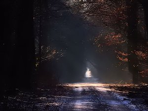 Ein Traum in Weiß