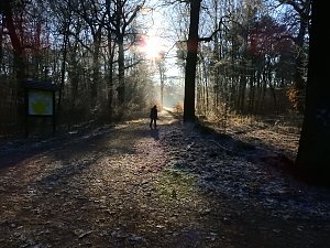 Ein Traum in Weiß