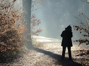 Ein Traum in Weiß