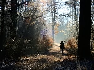 Ein Traum in Weiß