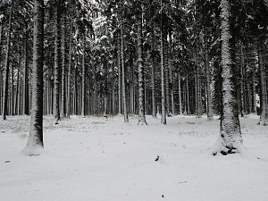 Unterwegs im winterlichen Harz