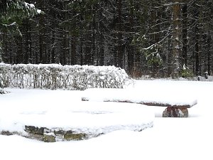 Unterwegs im winterlichen Harz