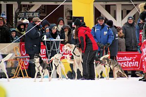 Schlittenhunderennen in Hasselfelde