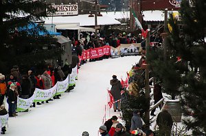 Schlittenhunderennen in Hasselfelde