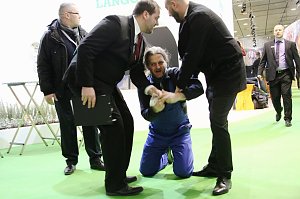Protest bei Grüner Woche