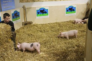 Grüne Woche 2017 in Berlin