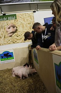 Grüne Woche 2017 in Berlin