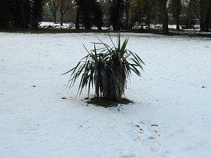 Peter Blei unterwegs - Schloss Mosigkau