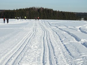 Schlittenhunderennen in Benneckenstein