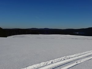 Schlittenhunderennen in Benneckenstein
