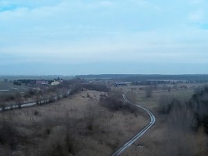 Wildg&auml;nse am K&ouml;ckernsee