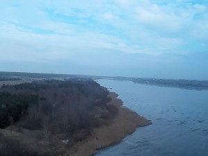 Wildg&auml;nse am K&ouml;ckernsee