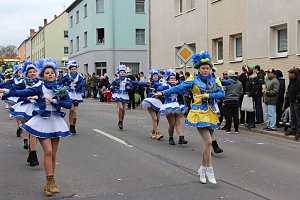 N&auml;rrinnen und Narren ziehen durch die Stadt (2)