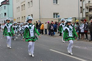 N&auml;rrinnen und Narren ziehen durch die Stadt (2)