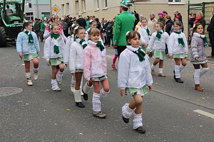 N&auml;rrinnen und Narren ziehen durch die Stadt (2)